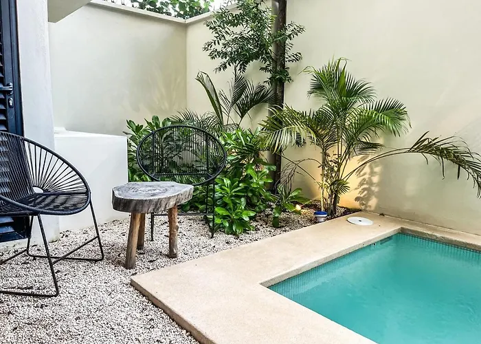 Apartment 15 Min Walking Near Of Beach, Private Pool, 1 Bed, 1 Sofacama, 1 Inflatable Tulum