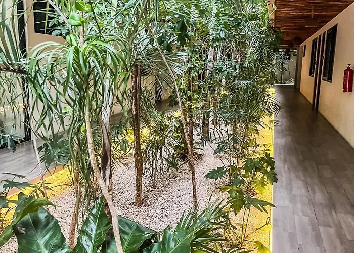 Apartment 15 Min Walking Near Of Beach, Private Pool, 1 Bed, 1 Sofacama, 1 Inflatable Tulum